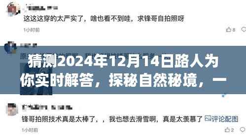探秘自然秘境的心灵之旅，路人带你领略美景，预测2024年12月14日的精彩解答日