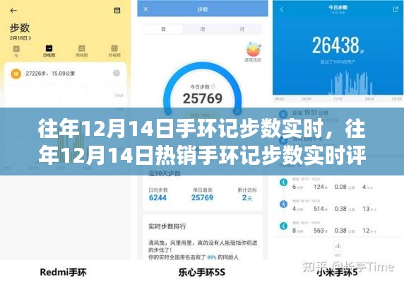 往年12月14日手环记步数全面评测,实时数据、用户体验、竞品对比及用户群体深度分析