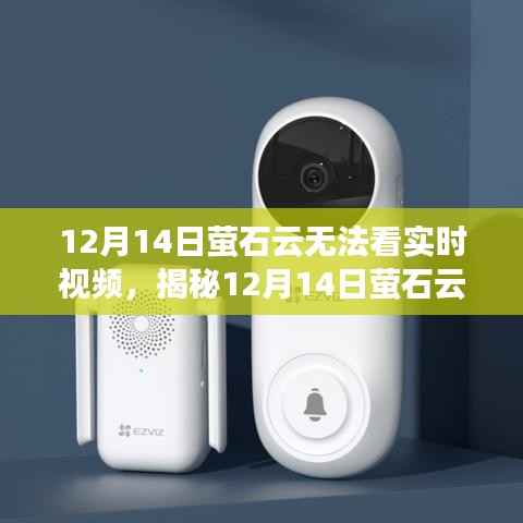 揭秘,12月14日萤石云无法观看实时视频的背后原因与解决方案