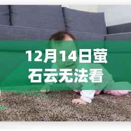 揭秘,12月14日萤石云无法观看实时视频的背后原因与解决方案