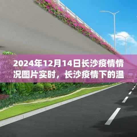 长沙疫情下的温馨日常,照片背后的温暖故事