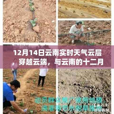 功名富贵 第2页