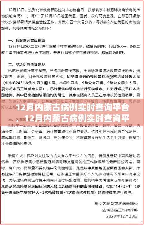 某某观点下的12月内蒙古病例实时查询平台,利弊分析与影响探讨