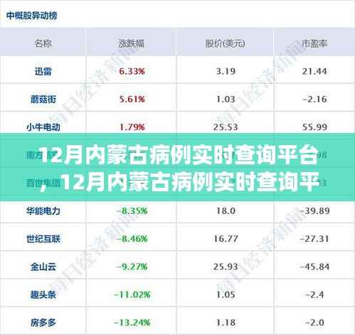 某某观点下的12月内蒙古病例实时查询平台,利弊分析与影响探讨