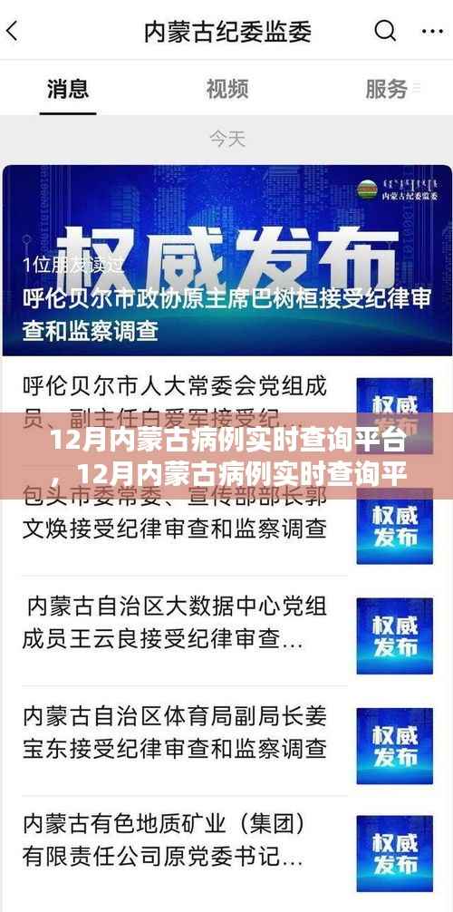 某某观点下的12月内蒙古病例实时查询平台,利弊分析与影响探讨
