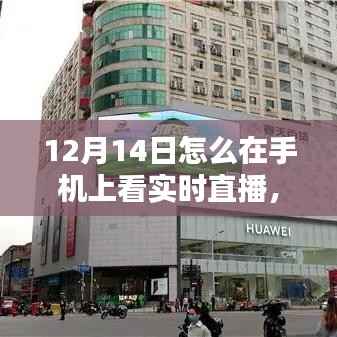 12月14日手机直播攻略,掌中观世界,与自然美景实时邂逅