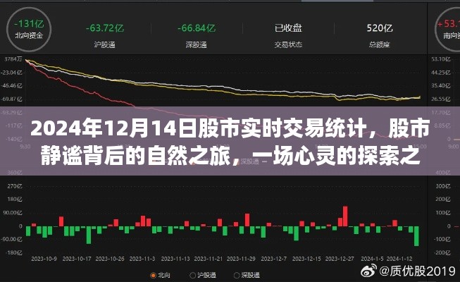 股市静谧背后的探索之旅,2024年12月14日股市实时交易统计与心灵探索