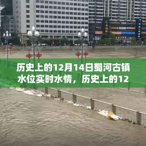 历史上的蜀河古镇水位实时水情解析,深度探讨蜀河古镇在十二月十四日的变迁与现状观察。