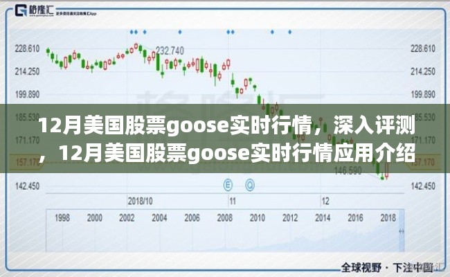 12月美国股票Goose实时行情深度解析与应用指南