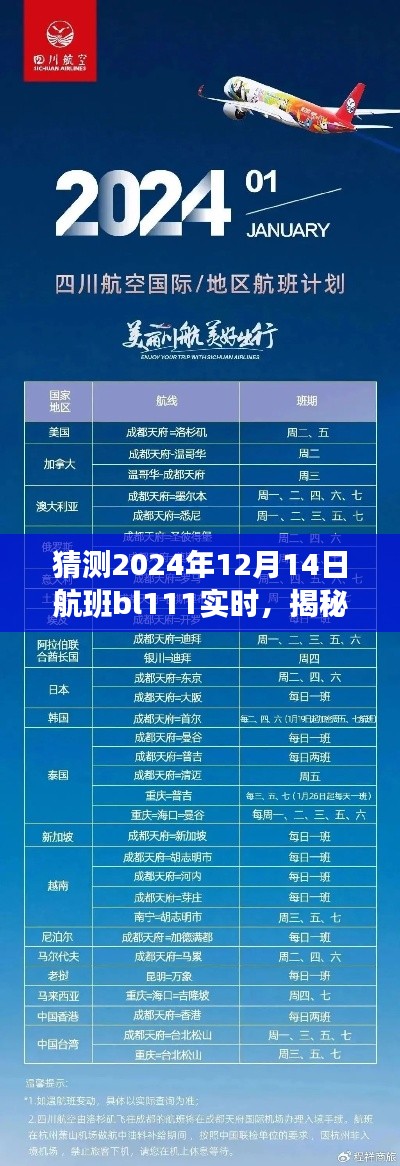 揭秘航班BL111,预测之旅探索未知的2024年12月14日。