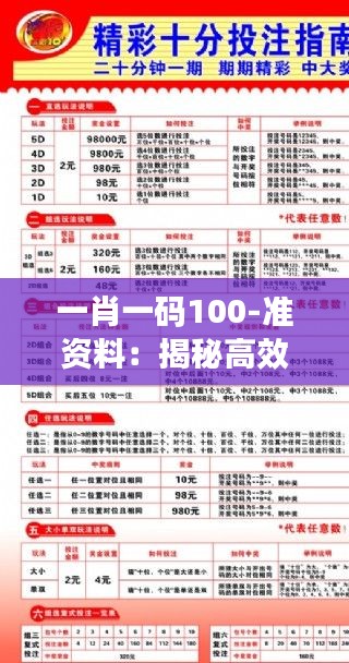 一肖一码100-准资料：揭秘高效投注策略的关键要素