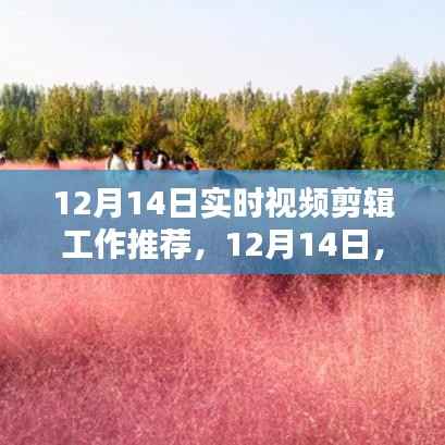12月14日实时视频剪辑盛宴,艺术绽放的瞬间