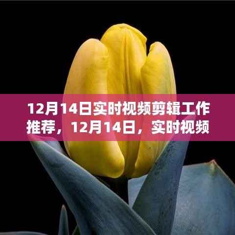 12月14日实时视频剪辑盛宴,艺术绽放的瞬间