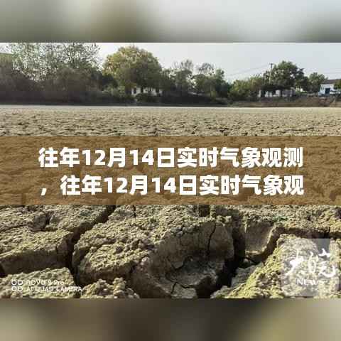 往年12月14日实时气象观测深度探讨及其意义与影响分析