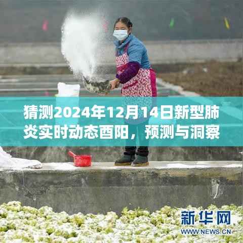 关于新型肺炎未来动态在酉阳地区的展望(预测与洞察,至2024年视角)