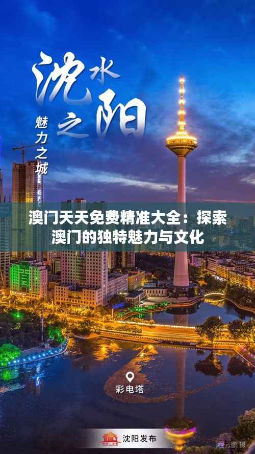 澳门天天免费精准大全:探索澳门的独特魅力与文化