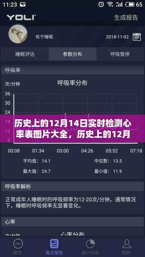 历史上的12月14日心率检测表图片大全及实时心率检测表一览