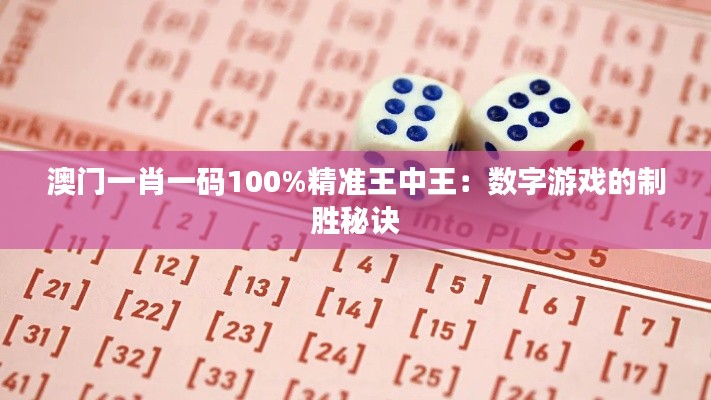 澳门一肖一码100%精准王中王：数字游戏的制胜秘诀