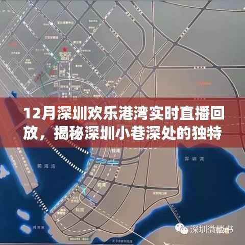 揭秘深圳小巷深处的独特风味,欢乐港湾美食秘境直播回顾与回放