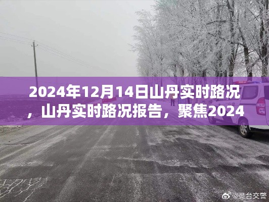 2024年12月14日山丹实时路况报告与深度分析