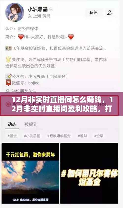 12月非实时直播间盈利攻略,开启赚钱新途径