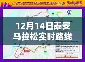 泰安马拉松赛道深度解析，赛道体验与路线特色（实时路线详解）