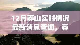 12月莽山最新实时情况,探幽寻乐,与自然共舞的快乐时光旅行日志