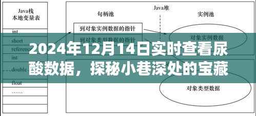 宝藏小巷探秘,尿酸数据实时查看体验之旅