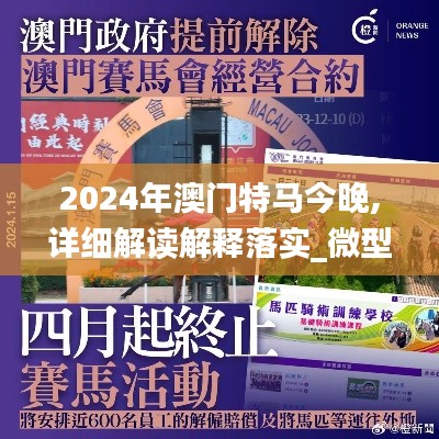 2024年澳门特马今晚,详细解读解释落实_微型版10.721