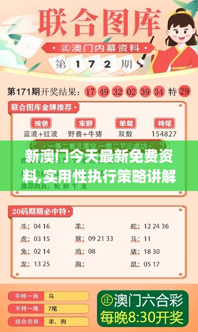 新澳门今天最新免费资料,实用性执行策略讲解_专属款13.493