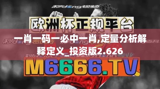 一肖一码一必中一肖,定量分析解释定义_投资版2.626