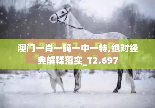 澳门一肖一码一中一特,绝对经典解释落实_T2.697