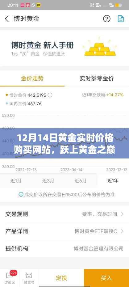 12月14日黄金实时价格购买网站，跃上黄金投资巅峰之旅