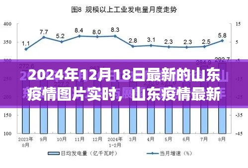 山东疫情最新动态,多维度视角下的实时图片分析与实时更新报告(2024年12月18日)