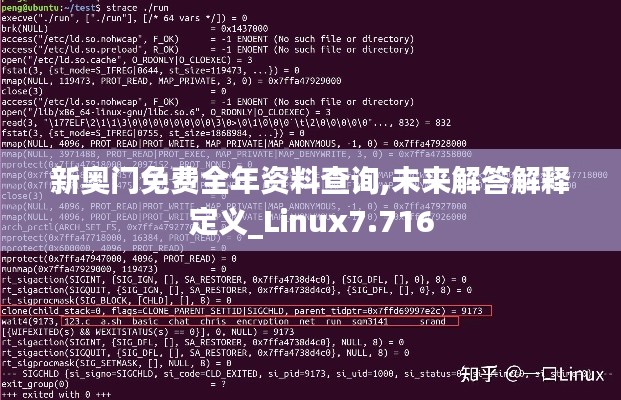 新奥门免费全年资料查询,未来解答解释定义_Linux7.716