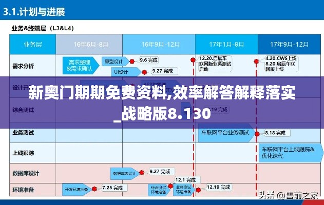 新奥门期期免费资料,效率解答解释落实_战略版8.130