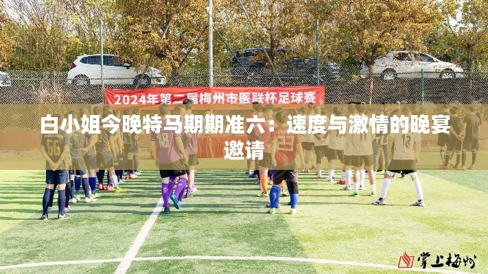 白小姐今晚特马期期准六:速度与激情的晚宴邀请