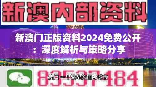 新澳门正版资料2024免费公开:深度解析与策略分享