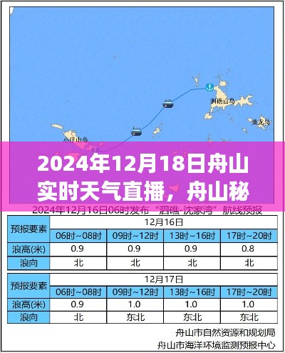 心灵之旅,舟山秘境实时天气直播下的冬日风情