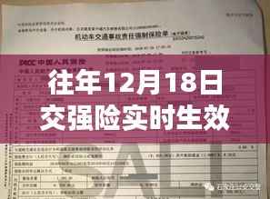 深度解析,往年12月18日交强险实时生效的费用变化与用户体验影响