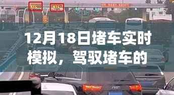 驾驭堵车洪流,实时模拟展现变化,自信成就之光闪耀十二月
