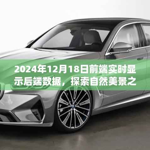 前端实时展现后端数据与自然美景探索之旅,启程寻找内心平和宁静