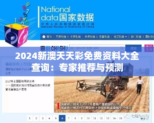 2024新澳天天彩免费资料大全查询：专家推荐与预测