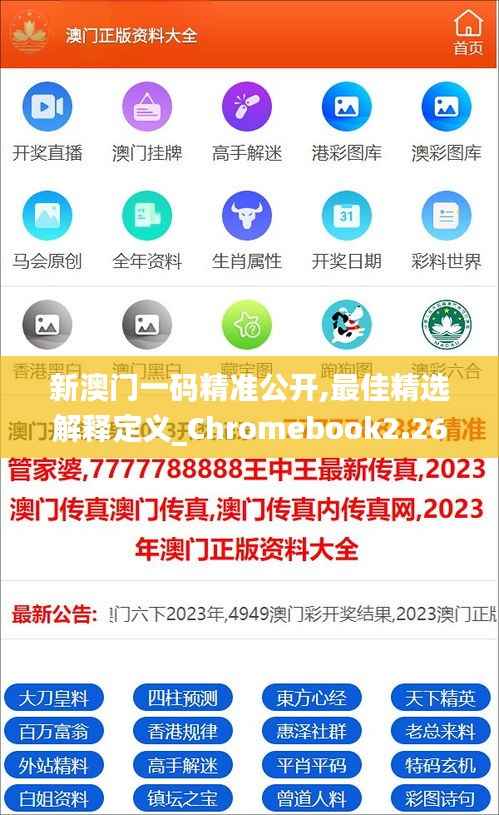 新澳门一码精准公开,最佳精选解释定义_Chromebook2.263