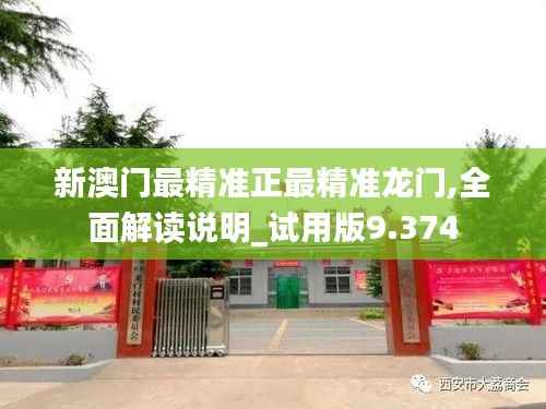 新澳门最精准正最精准龙门,全面解读说明_试用版9.374