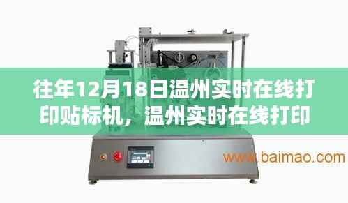 温州实时在线打印贴标机的价值与应用探讨,历年12月18日回顾分析