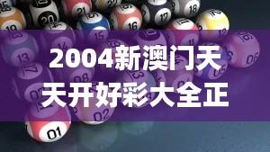 2004新澳门天天开好彩大全正版,时代资料解释落实_T2.674