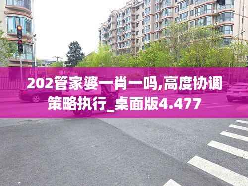 202管家婆一肖一吗,高度协调策略执行_桌面版4.477