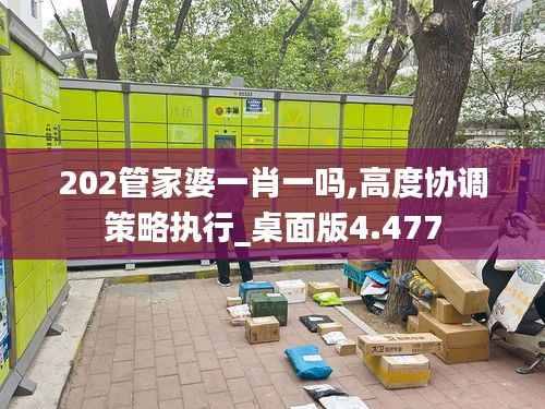 202管家婆一肖一吗,高度协调策略执行_桌面版4.477