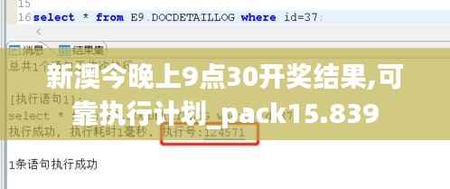 新澳今晚上9点30开奖结果,可靠执行计划_pack15.839